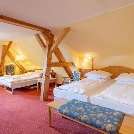 Ringhotel Warnemuender Hof מלון 4*
