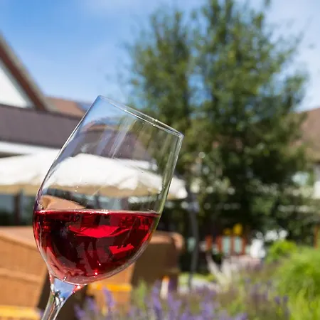 Ringhotel Warnemuender Hof Otel 4*