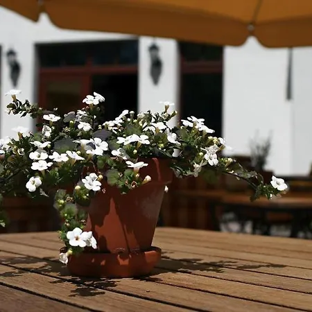 Ringhotel Warnemuender Hof 4* Rostock