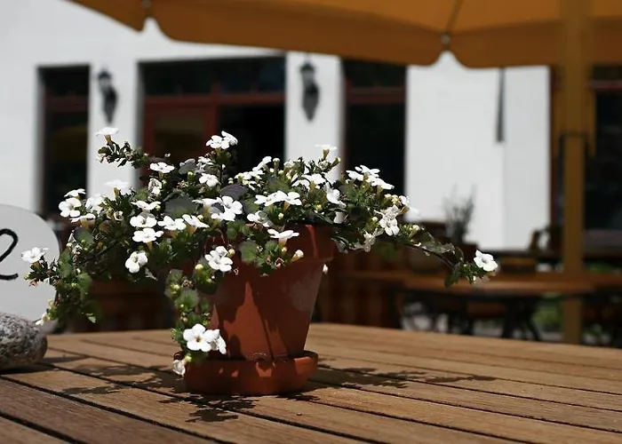 Ringhotel Warnemuender Hof 4* רוסטוק